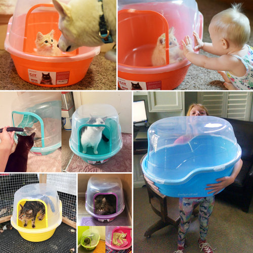 PETFAMILY Extra Large Cat Litter Plastic Enclosed Standard Litter Box